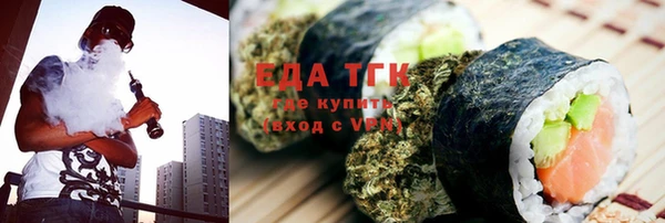 хмурый Абаза