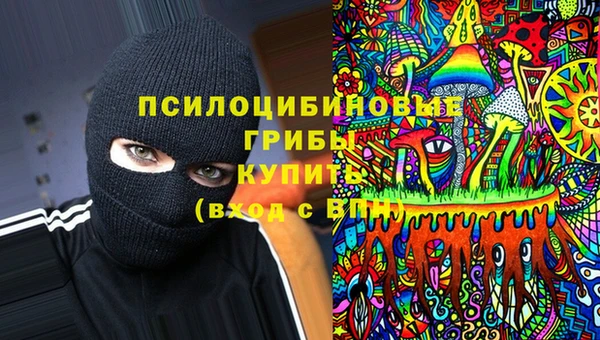 хмурый Абаза