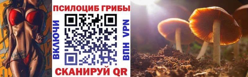 omg рабочий сайт  Дмитриев  Галлюциногенные грибы Cubensis 