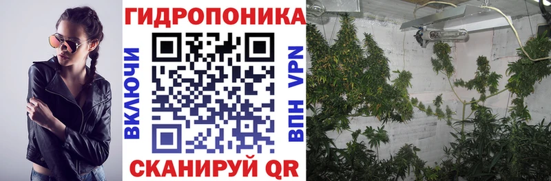 Шишки марихуана VHQ Дмитриев